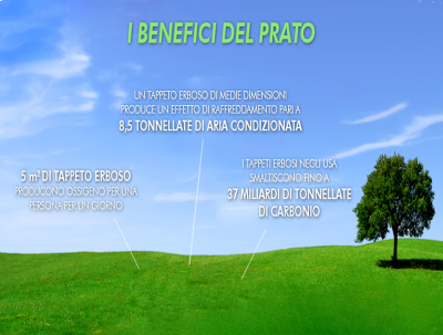 I Benefici Del Prato